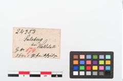 Etiketten zu Bronzepfeilspitze (NHMW-PRAE-024253)